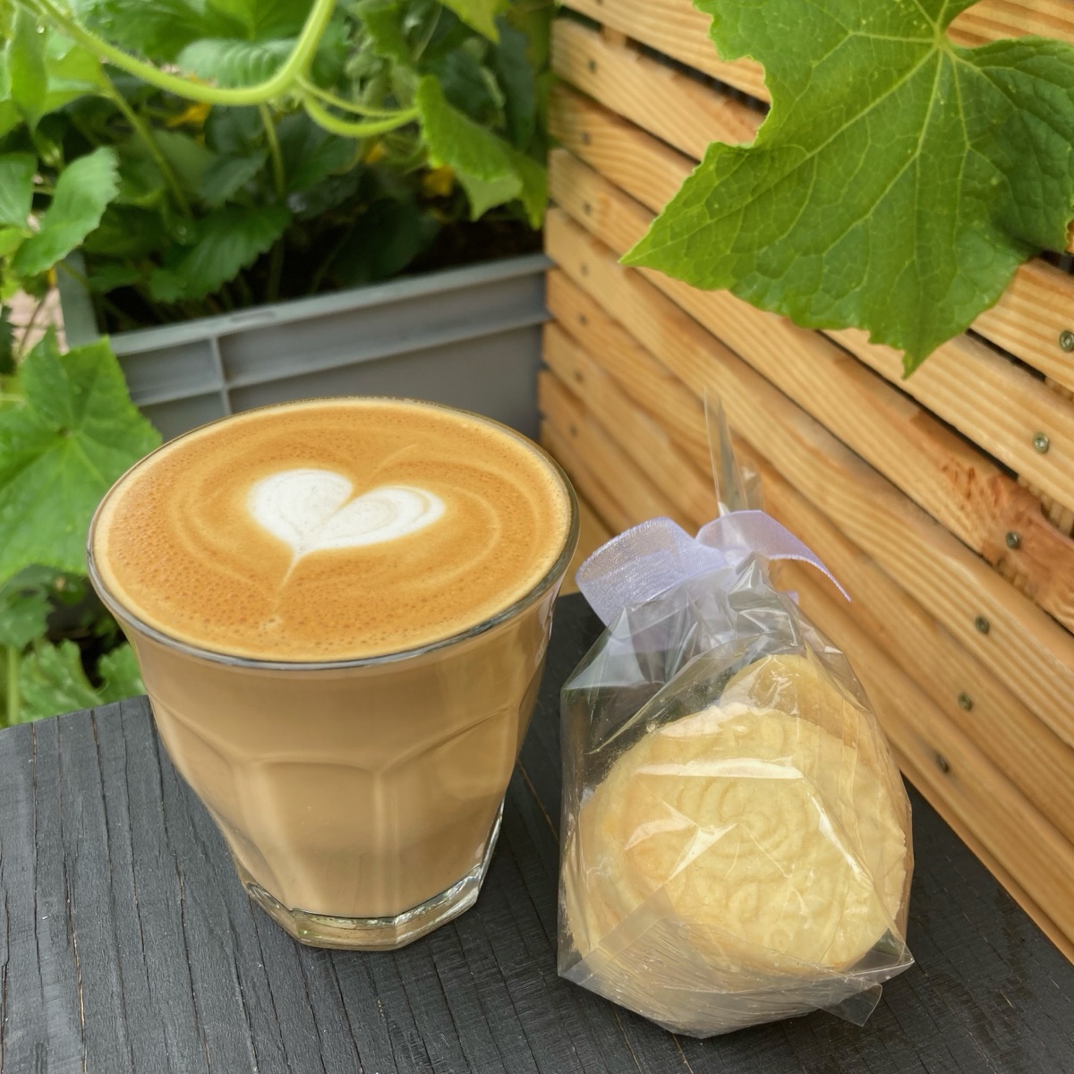 trackonecoffee Instagram